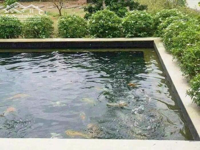 Hình ảnh CẦN BÁN NHÀ BIỆT THỰ VILA VIEW SÔNG TÂN TRIỀU Giảm Mạnh 4Tỷ 5