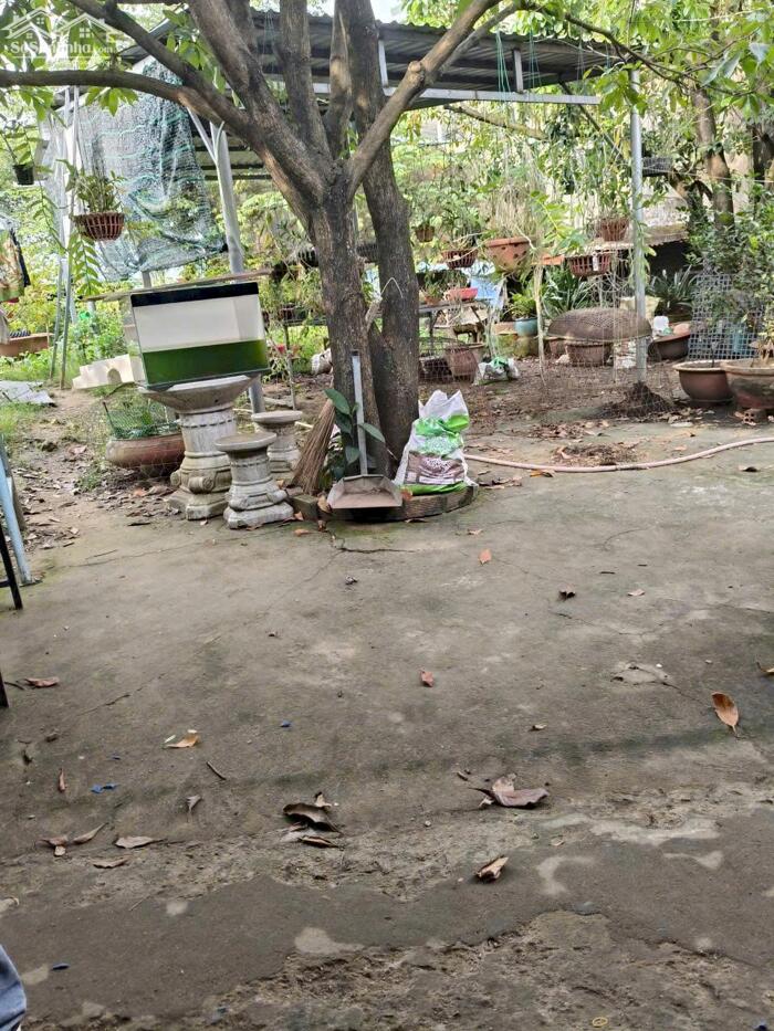 Hình ảnh CẦN BÁN LÔ ĐẤT MẶT TIỀN BỜ KÈ BỬU LONG CŨ - NAY THUỘC PHƯỜNG TRẤN BIÊN- VỊ TRÍ SIÊU ĐẸP 1