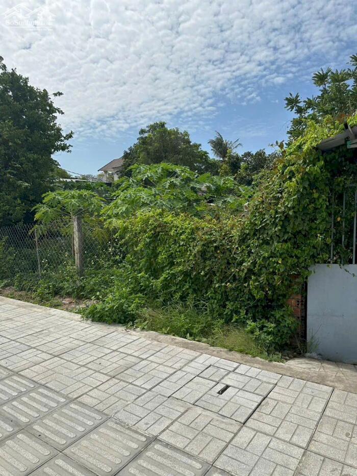 Hình ảnh CẦN BÁN LÔ ĐẤT MẶT TIỀN BỜ KÈ BỬU LONG CŨ - NAY THUỘC PHƯỜNG TRẤN BIÊN- VỊ TRÍ SIÊU ĐẸP 2