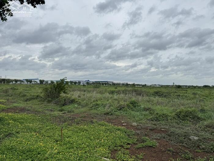 Hình ảnh Bán đất (SKK) xây dựng xưởng 31.000m2 giá chỉ 140 tỷ. KCN Trảng Bom-Đồng Nai 1