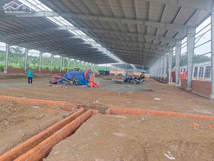 Hình ảnh Cho Thuê 4.800m2 – 6.000m2 – 10.800m2 Xưởng Dầu Tiếng, Bàu Bàng Bình Dương 2