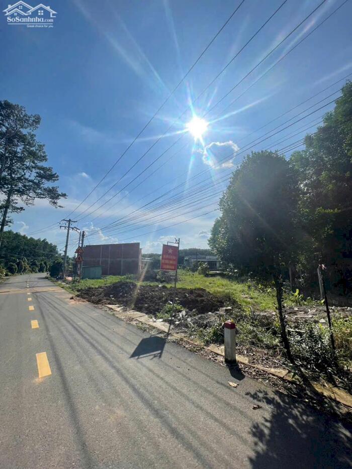 Hình ảnh CHÍNH CHỦ BÁN GẤP ĐẤT MẶT TIỀN ĐA LỘC – BÌNH LỢI 1