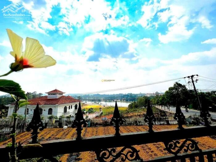 Hình ảnh Siêu biệt thự sân vườn Sương Nguyệt Ánh – trung tâm Đà Lạt, 1.517m², giá 160 tỷ! 8