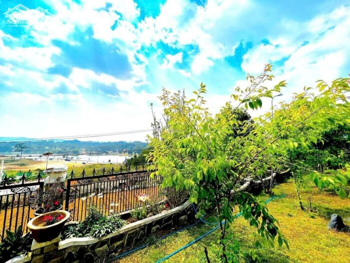 Hình ảnh Siêu biệt thự sân vườn Sương Nguyệt Ánh – trung tâm Đà Lạt, 1.517m², giá 160 tỷ! 2