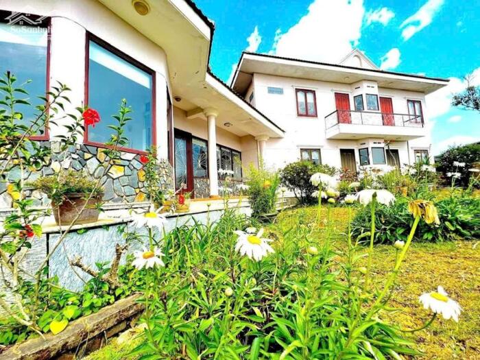 Hình ảnh Siêu biệt thự sân vườn Sương Nguyệt Ánh – trung tâm Đà Lạt, 1.517m², giá 160 tỷ! 4