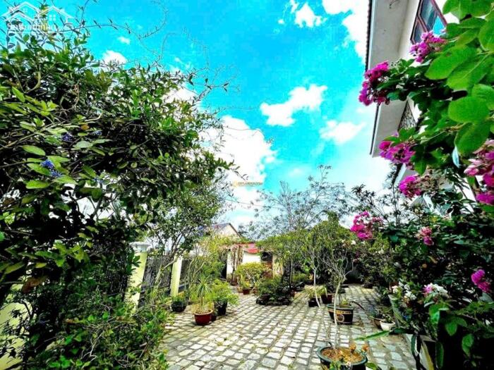 Hình ảnh Siêu biệt thự sân vườn Sương Nguyệt Ánh – trung tâm Đà Lạt, 1.517m², giá 160 tỷ! 0