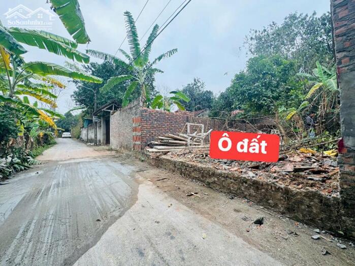 Hình ảnh Bán đất xóm Chũng, Quất Lưu, Bình Xuyên, Vĩnh Phúc diện tích 120m2 xe tải vào tận nơi. 2