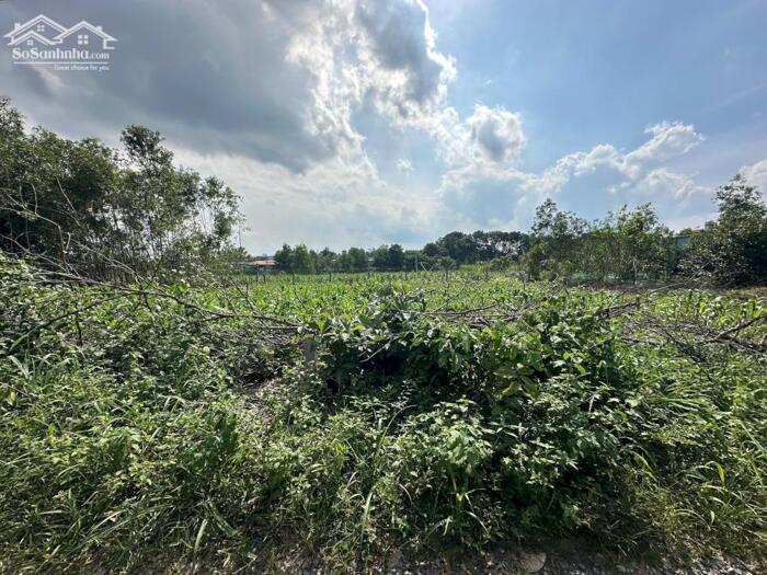 Hình ảnh 12x30(342m2) Hẻm Lý Nam Đế, Tân Phước LaGi Giá 1,2 Tỷ 1