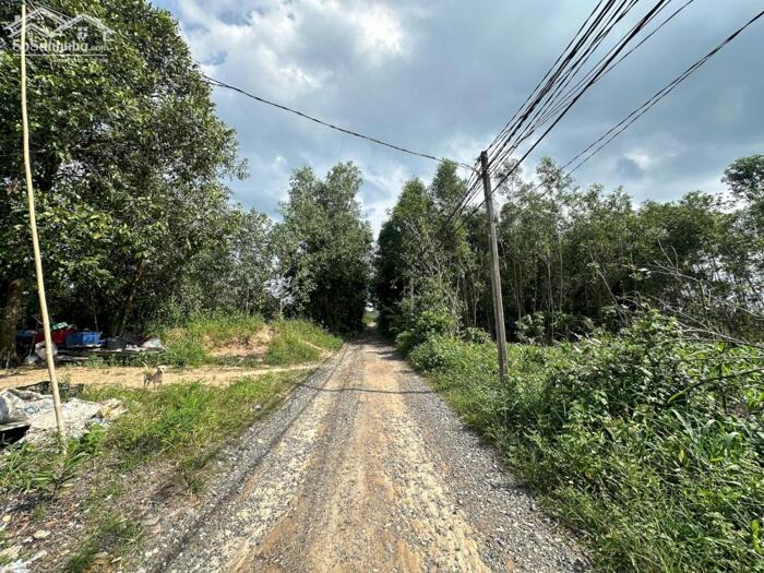 Hình ảnh 12x30(342m2) Hẻm Lý Nam Đế, Tân Phước LaGi Giá 1,2 Tỷ 3