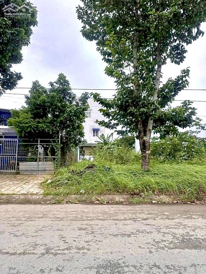 Hình ảnh Bán Cặp Nền đường Bùi Quang Trinh KDC Phú An, P.Hưng Phú Mới, Cần Thơ 0