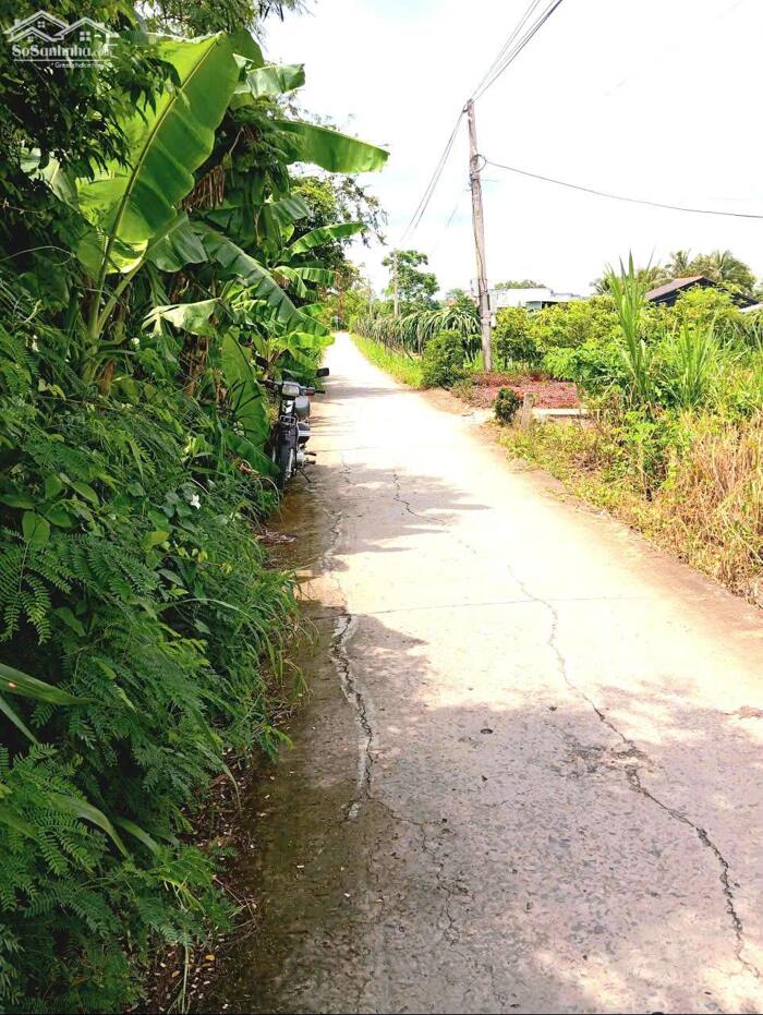 Hình ảnh B.á.n (10x47) đất thổ, nở hậu, ôtô cặp kênh Trần Văn Dõng - ngã tư Bình Ân, Gò Công Đông, Tiền Giang cũ 0