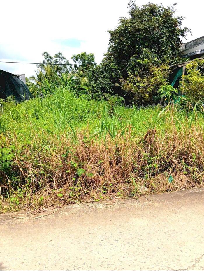 Hình ảnh B.á.n (10x47) đất thổ, nở hậu, ôtô cặp kênh Trần Văn Dõng - ngã tư Bình Ân, Gò Công Đông, Tiền Giang cũ 2