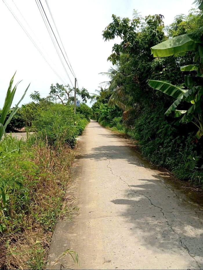 Hình ảnh B.á.n (10x47) đất thổ, nở hậu, ôtô cặp kênh Trần Văn Dõng - ngã tư Bình Ân, Gò Công Đông, Tiền Giang cũ 1