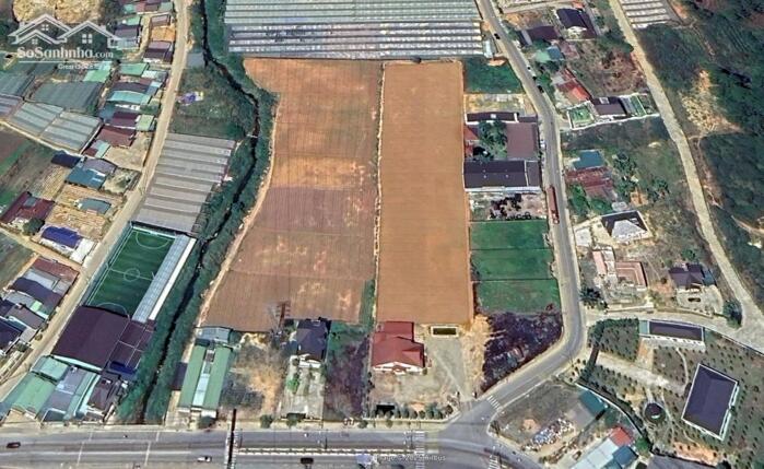 Hình ảnh Bán đất 2 mặt tiền Lạc Dương – 7.754m² – view đẹp – phù hợp làm resort, farmstay cao cấp! 6