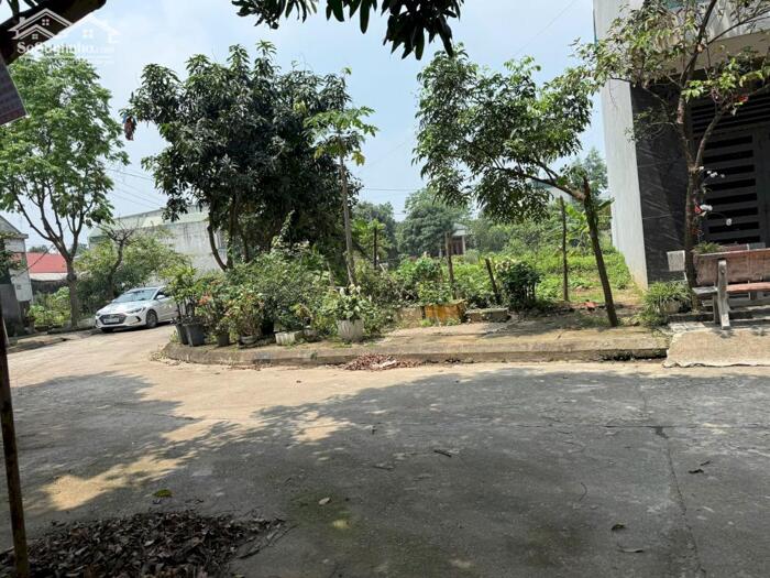 Hình ảnh Bán ô góc khu tái định cư Đồng Đầm, Tiên Cát, Việt Trì, Phú Thọ 1
