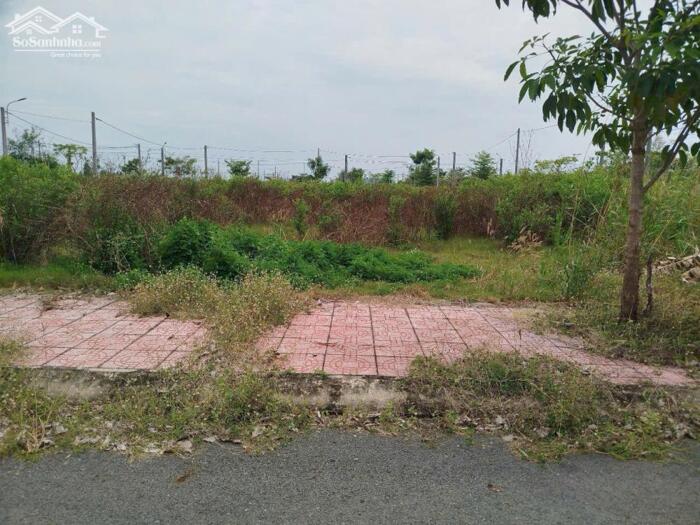 Hình ảnh Chủ cần bán gấp nền đẹp 64m2 kdc Tân Lân Residence giá đầu tư 750tr 4