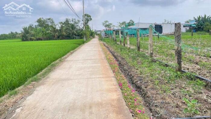 Hình ảnh bán nền full thổ cư (8x20), ôtô gần Chợ Tân Thành, Gò Công Đông, Tiền Giang cũ giá 380 triệu. 3