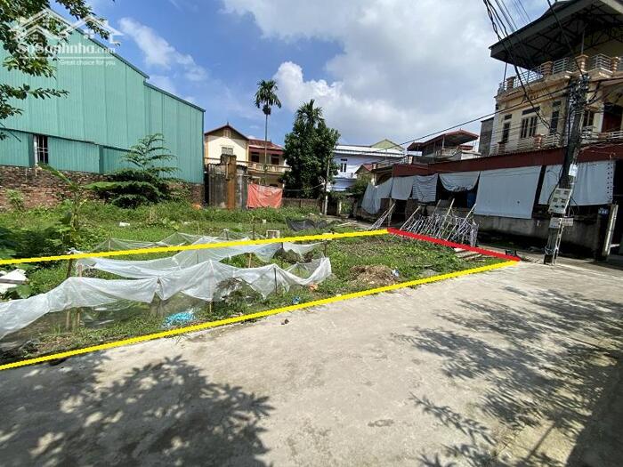 Hình ảnh Bán 63m2 đất thôn Tam Đa Thanh Văn, trục chính thôn, cách Cienco5 vài trăm mét, giá Rẻ nhất khu vực 2