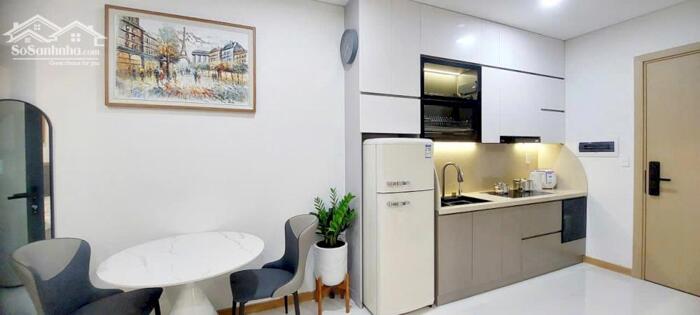 Hình ảnh Cho thuê căn hộ Studio chuẩn phong cách Singapore tại Chung cư Setosa Sky Park. 2