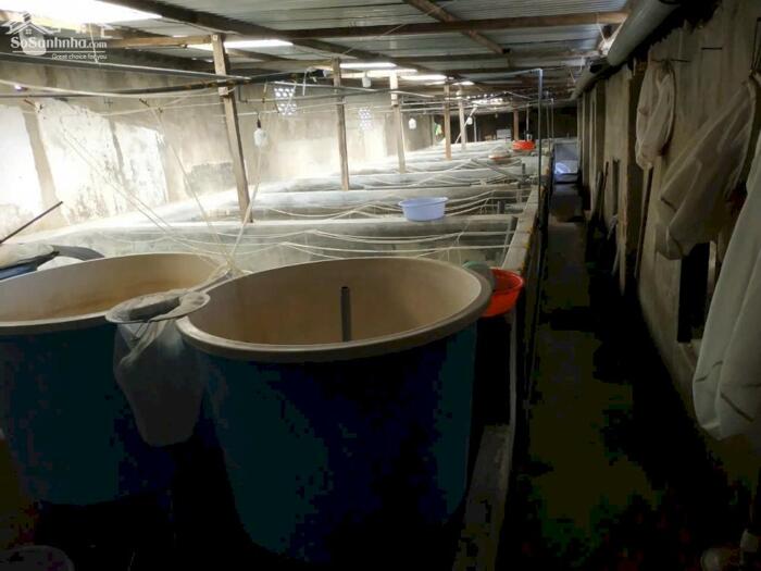 Hình ảnh Bán trại nuôi giống cách Nha Trang 12Km gần ngay Quốc lộ 1A 492m2 thổ cư 200m2 1