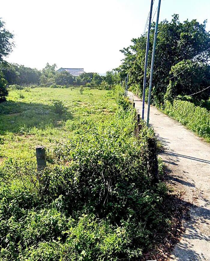 Hình ảnh Đại Hạ Giá-Đất gần Trần Hữu Xoàng-Mũi Né(Thiện Nghiệp-Phan Thiết)-1.100m2,có 300m2TC,mt 13m. 0