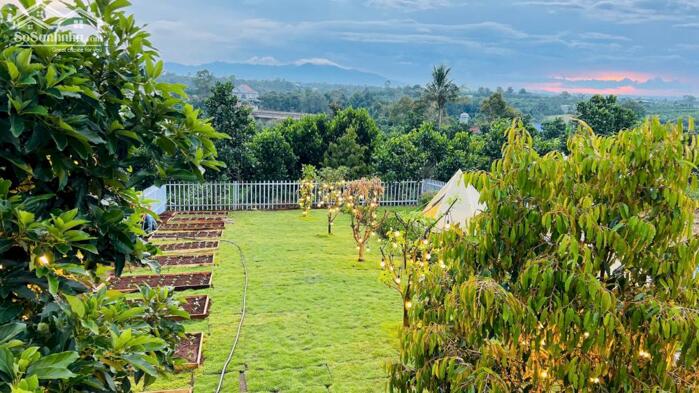 Hình ảnh Đất biệt thự Lộc An - Bảo Lộc, Bảo Lâm, 515m2 có 200m thổ cư 0