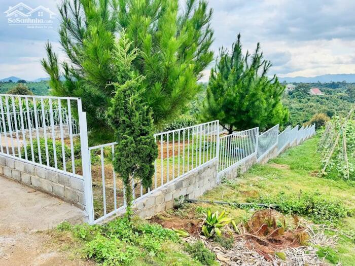 Hình ảnh Đất biệt thự Lộc An - Bảo Lộc, Bảo Lâm, 515m2 có 200m thổ cư 2