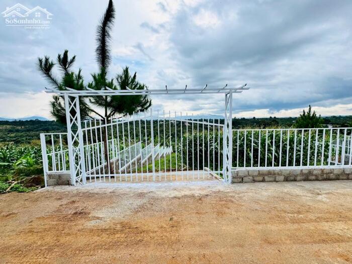 Hình ảnh Đất biệt thự Lộc An - Bảo Lộc, Bảo Lâm, 515m2 có 200m thổ cư 6