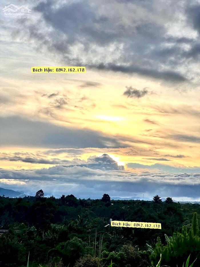 Hình ảnh Đất biệt thự Lộc An - Bảo Lộc, Bảo Lâm, 515m2 có 200m thổ cư 5