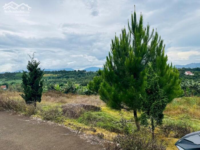 Hình ảnh Đất biệt thự Lộc An - Bảo Lộc, Bảo Lâm, 515m2 có 200m thổ cư 4