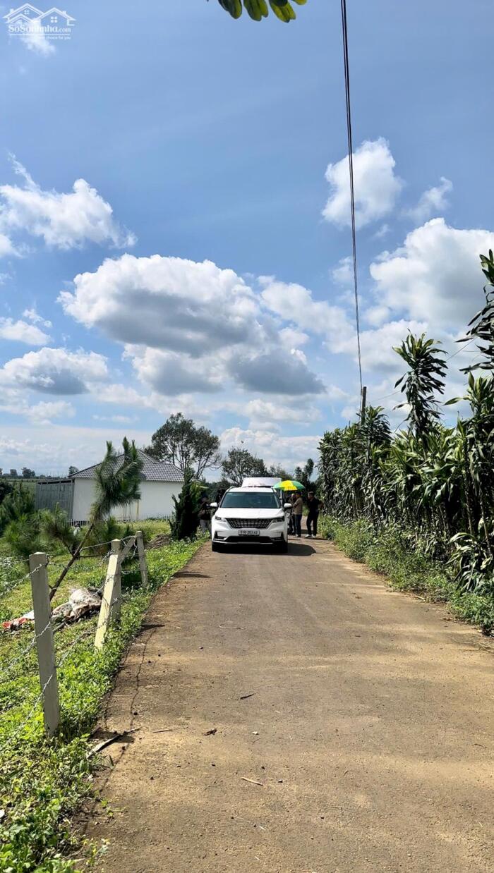 Hình ảnh Đất biệt thự Lộc An - Bảo Lộc, Bảo Lâm, 515m2 có 200m thổ cư 3