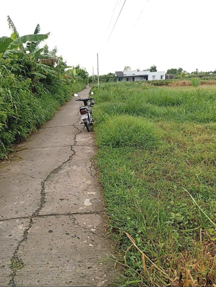 Hình ảnh Bán (70x50) ruộng, bêtông ôtô cặp kênh Trần Văn Dõng - Bình Ân, Gò Công Đông, Tiền Giang 1