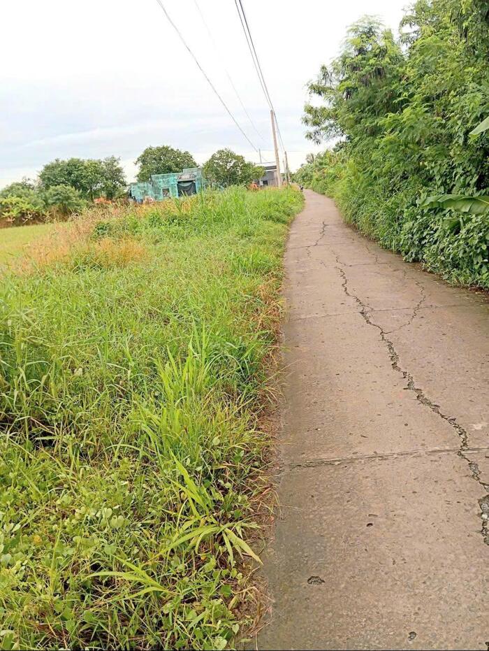 Hình ảnh Bán (70x50) ruộng, bêtông ôtô cặp kênh Trần Văn Dõng - Bình Ân, Gò Công Đông, Tiền Giang 0