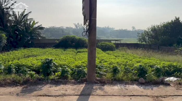 Hình ảnh Bán lô 462m2, mt 22m Đạo Tú, Tam Dương gần KCN lh_0987673102 1