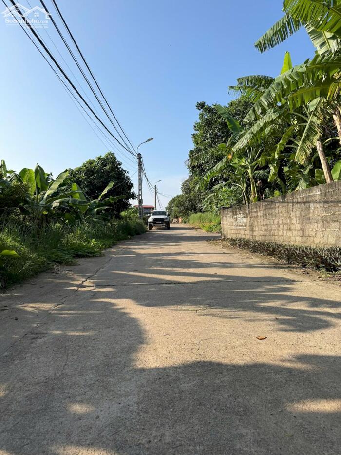 Hình ảnh Bán lô 462m2, mt 22m Đạo Tú, Tam Dương gần KCN lh_0987673102 0