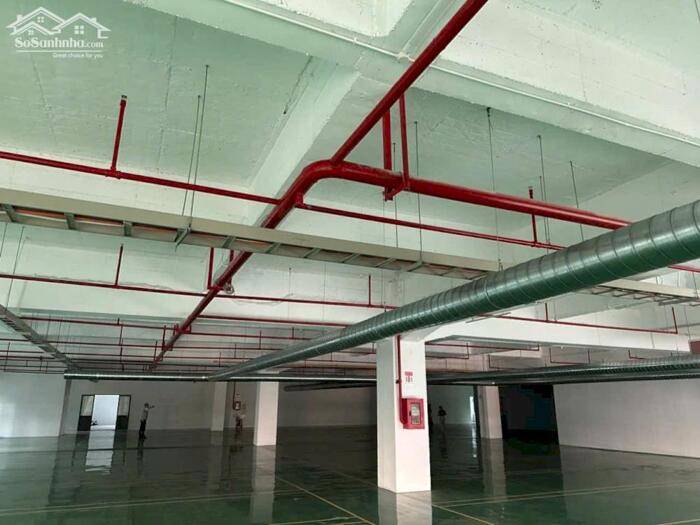 Hình ảnh Cho thuê xưởng 7800m2 (TDT 10.524m2) KCN VSIP 1 Thuận An 1