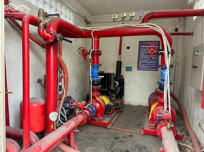 Hình ảnh Cho thuê xưởng 7800m2 (TDT 10.524m2) KCN VSIP 1 Thuận An 3