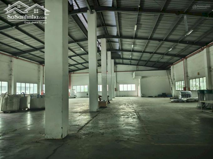 Hình ảnh Cho thuê xưởng 7800m2 (TDT 10.524m2) KCN VSIP 1 Thuận An 6