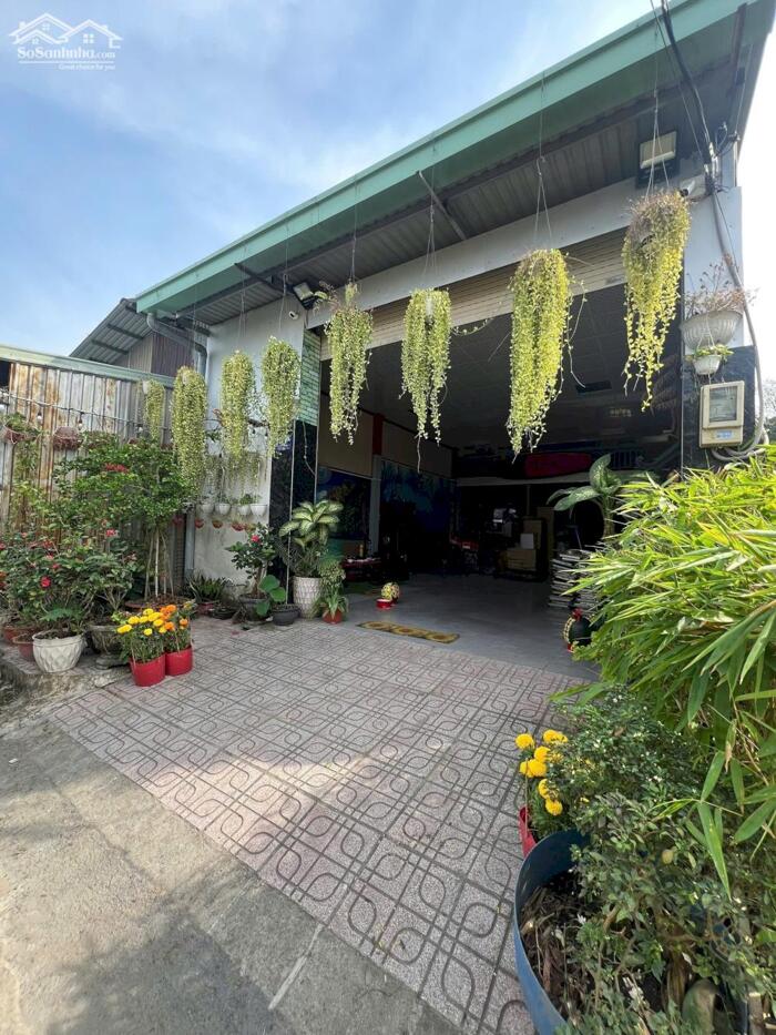 Hình ảnh Kho xưởng 1/Nguyễn Thị Ngâu-Thới Tam Thôn-Hóc Môn.Dt 6,6x28~183m2~6,1ty 0