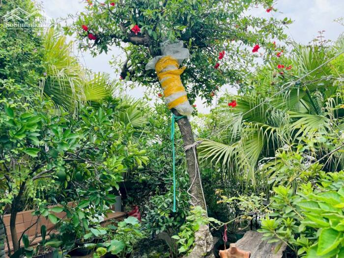 Hình ảnh CHÍNH CHỦ BÁN BIỆT THỰ VƯỜN ĐÀO, TÂY HỒ - 7 TẦNG THANG MÁY, HOÀN THIỆN ĐẦY ĐỦ NỘI THẤT 7