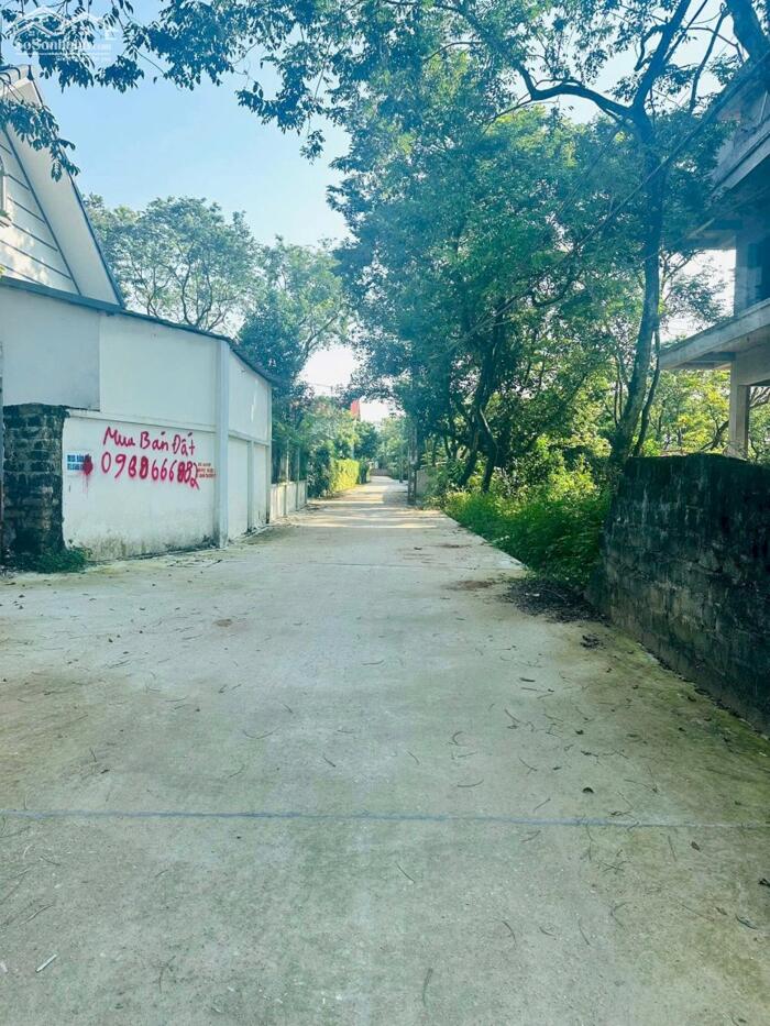 Hình ảnh Bán lô 200m2, thổ cư 160m2 Tam Quan, Tam Đảo lh_0987673102 0