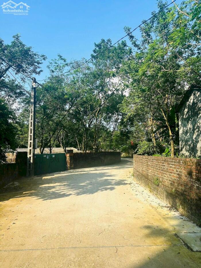 Hình ảnh Bán lô 200m2, thổ cư 160m2 Tam Quan, Tam Đảo lh_0987673102 1