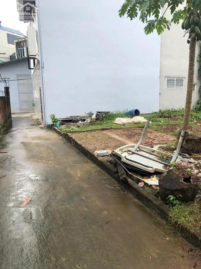 Hình ảnh Bán đất Hưng Giáo Tam Hưng Thanh Oai, 49m2, tài chính Nhỏ, Gần chợ 0