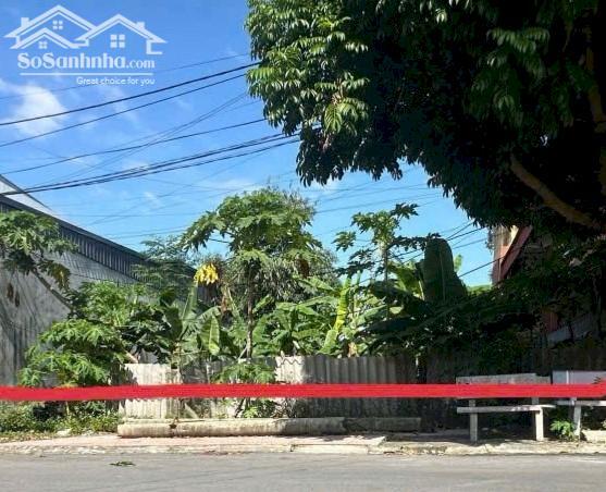 Hình ảnh Bán đất rộng rẻ tại Vĩnh yên. Phù hợp ở, đầu tư, nhà vườn, Ks…. 1