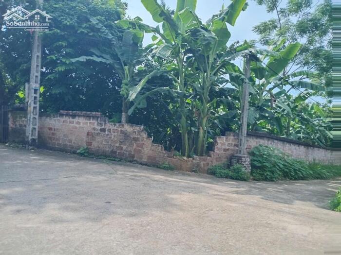 Hình ảnh Bán đất nghỉ dưỡng ven Hà Nội, diện tích 1570m² GIÁ CỰC MỀM chỉ 6 triệu/m² 2