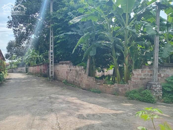 Hình ảnh Bán đất nghỉ dưỡng ven Hà Nội, diện tích 1570m² GIÁ CỰC MỀM chỉ 6 triệu/m² 0