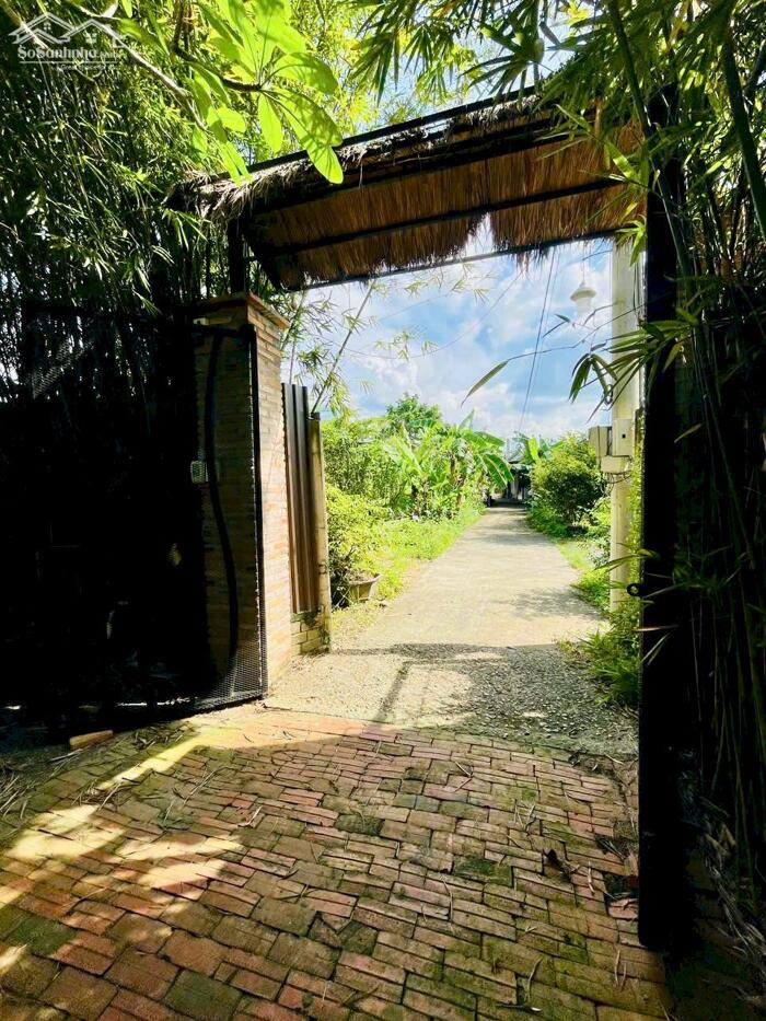 Hình ảnh NHÀ CHO THUÊ BIỆT THỰ SÂN VƯỜN 380M² – FULL NỘI THẤT CAO CẤP – KDC HƯNG PHÚ 1 – GIÁ 15 TRIỆU/THÁNG 5