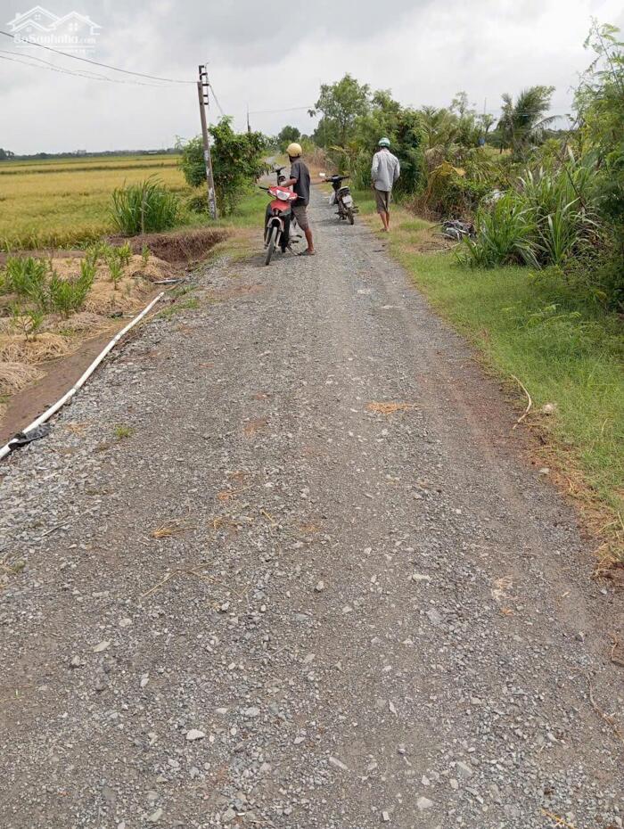 Hình ảnh B.á.n 1,3 mẫu đất ruộng giá 330tr/1000m2 tại xã Gia Thuận, Đồng Tháp. 0