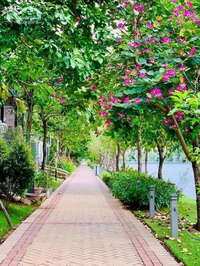 Hình ảnh BDS HVL [NC] CHO THUÊ VILLA HỒ LAKEVIEW 8x22M 1T3L 4PN 4WC GIÁ 50 TR/TH 4