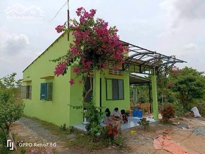 Hình ảnh Nhà vườn nghỉ dưỡng 3000m2 mt xe hơi xã Phước Đông bán gấp 2 tỏi 5 0